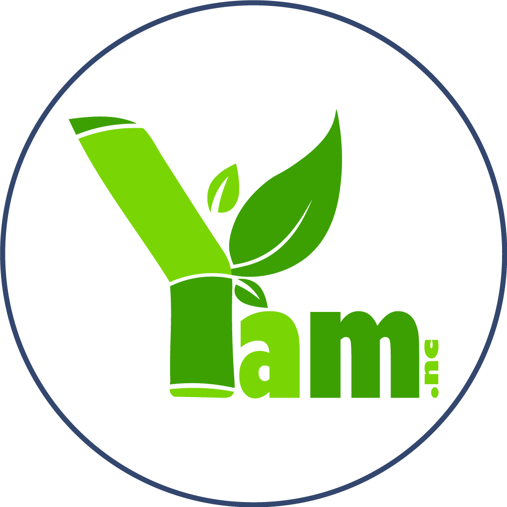 a-propos-2022-lancement-de-yam.nc-sms-surtaxe